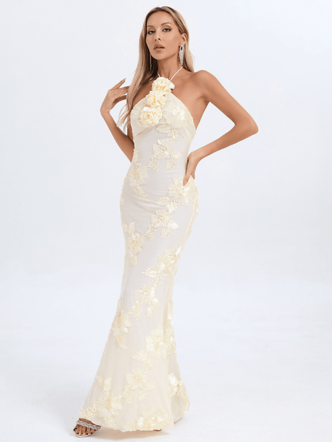 Aedin Çiçekli Halterneck Maxi Elbise